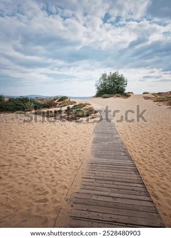 Similar – Foto Bild Holzweg zum Meer auf Sylt an einem Regentag