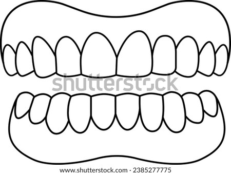 An orthodontic dental model icon, showcasing a complete and perfectly aligned set of teeth from the front. Ideal for dental and orthodontic themes.