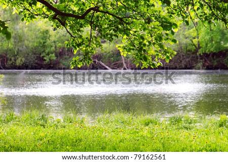 Spring landscape. River bank and the branches of trees hanging over him.