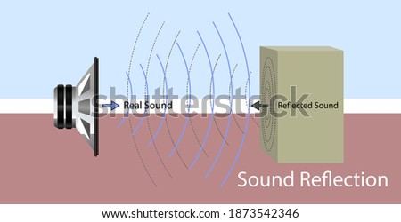 Sound waves hit a hard surface and return to the sound source. sound reflection. 