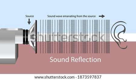 sounds from a source are going towards the ear. reflection of the sound. reflection of the sound coming out of the speaker
