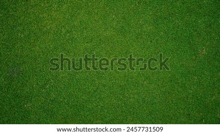 Similar – Image, Stock Photo nature meadow grasses close up with dew drops in the morning mist in black and white