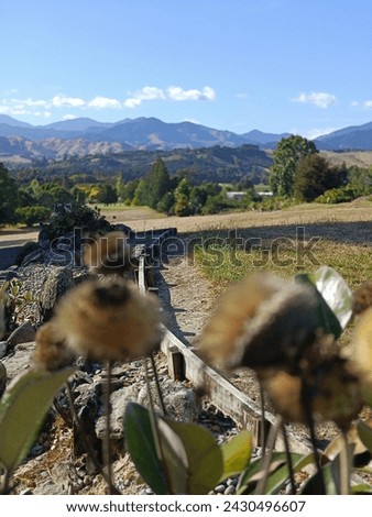 Similar – Foto Bild Ein perfekter Sommertag für eine fröhliche Abkühlung in der grünen Natur. Ein wunderschönes blondes Mädchen in einem weißen Hemd fühlt sich glücklich und entspannt zwischen den Blumen. Sommerglück und die unendliche Schönheit der Natur in diesem Bild.