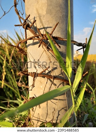 Similar – Image, Stock Photo Barrier chain due to corona virus | corona thoughts