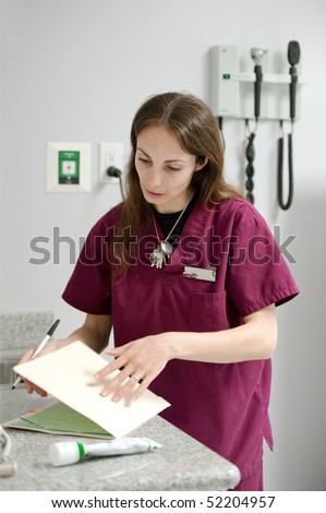 a veterinary assistant assessing a dog's medical files