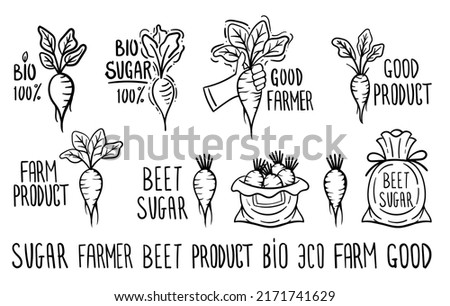Hand sketched badges and labels of sugar beets. Black and white roots with hand lettering isolated on white background. Vector illustration.