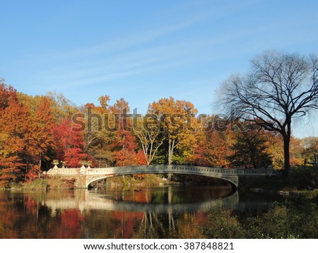 Central Park in the Fall, New York City