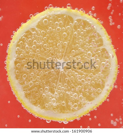Lemon slice in bubbly water . Fresh lemon slice. Abstract fruit