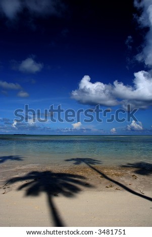 Shadow Of A Coconut Tree Stock Photo 3481751 : Shutterstock