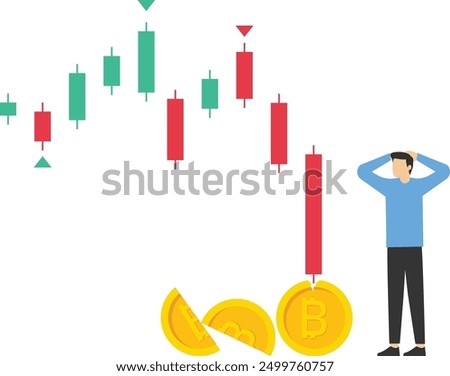 Bitcoin market was hit by a heavy price slash, Vector illustration in flat style

