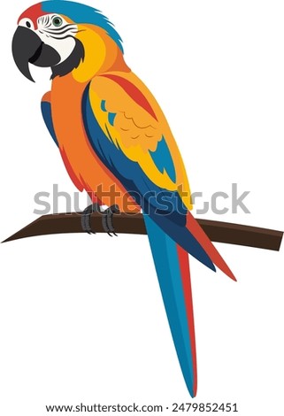 Ara parrot vector. Birds of Amazonian forests in flat design illustration. Fauna of South America. Flying colorful Ara parrot for icons, posters, childrens books illustrating. Isolated on white.