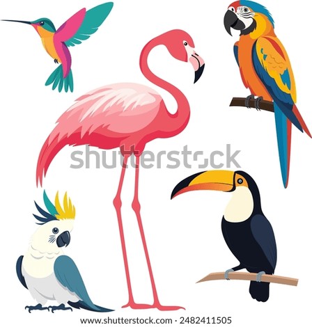 Cute animals in the jungle. Vector illustration in flat style. Birds of Amazonian forests in flat design illustration. Colorful Ara, parrot, hummingbird, flamingo, toucan for icons, posters, books