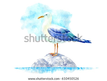 Seagull on a stone. Marine landscape. Watercolor hand drawn illustration. White background.