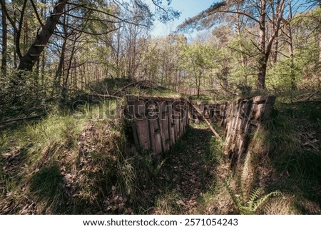 Image, Stock Photo Bunker remnants with tree remnants