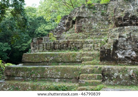 Maya Temple in tropical forest