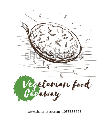 Vector hand drawn sketch of vegetarian food with food name. Eco food. Monochrome Peas isolated on white sketch.