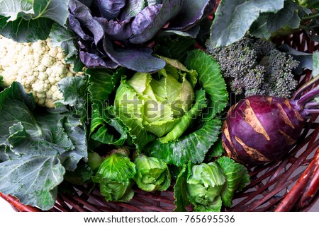 Similar – Image, Stock Photo Kale in basket View from above