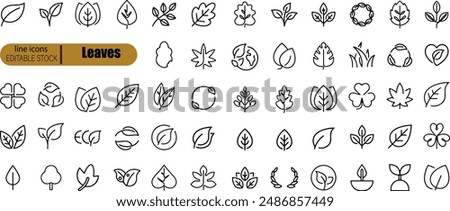 Leaves thin line icon set. Symbol collection in transparent background. Editable vector stroke.