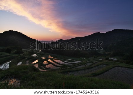 Shutterstock Puzzlepix