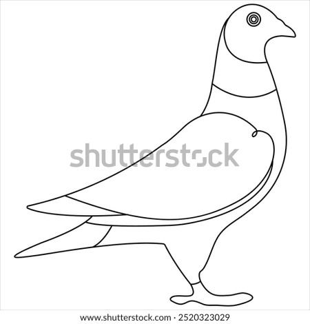 Continuous single line drawing of dove bird vector illustration