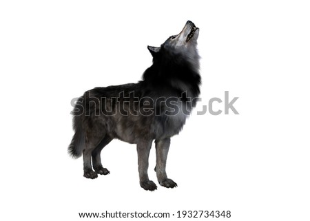 Brown and grey Dire Wolf howling. 3d illustration isolated on white background, Photo stock © 