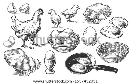 Chicken farm fresh eggs. Vector set of sketch design elements. Hen, poultry and little chicken, isolated on white background. Vector hand drawn vintage engraving illustration for poster.