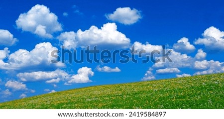 Similar – Image, Stock Photo Fair weather clouds above the treetops of a group of trees