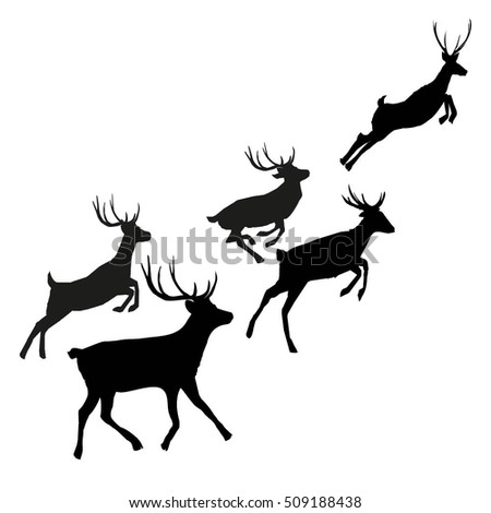 Deer - Vector, Illustration - 509188438 : Shutterstock