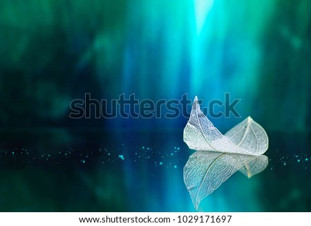 Photo of White transparent leaf on mirror surface with reflection on turquoise background macro. Artistic image of ship in water of lake. Dreamy image nature, free space