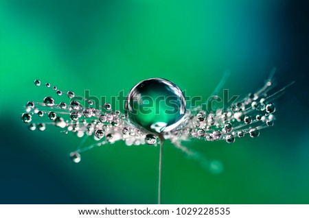 Similar – Image, Stock Photo flower plants and raindrops in rainy season