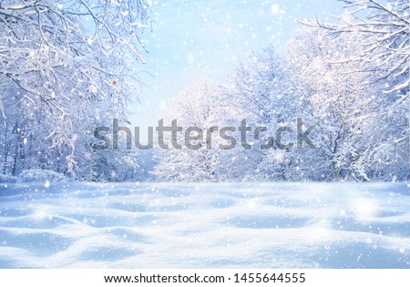 Similar – hoarfrost against the light