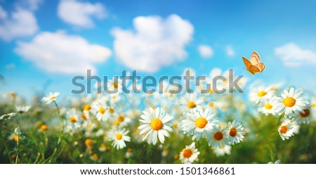 Similar – Image, Stock Photo spring Nature Plant Spring