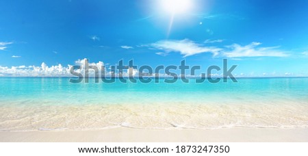 Similar – Image, Stock Photo Scenic seascape with sandy shore and rocky cliffs against night sky