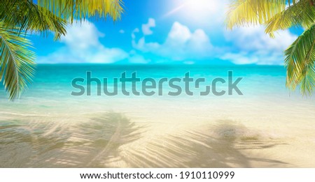 Similar – Image, Stock Photo Shade sea of leaves trees