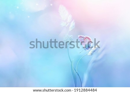 Gentle natural background in light pastel blue pink colors. Beautiful butterfly on blade of grass in nature.  Airy soft romantic  dreamy artistic spring  image.