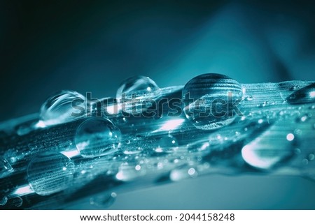 Similar – Image, Stock Photo Blue leaf with raindrops on the forest floor