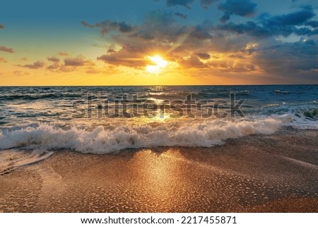 Image, Stock Photo Wet ocean beach sand with dark wild seaweed. Low tide ocean shore scenery in Ireland.