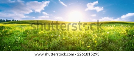 Similar – Image, Stock Photo Grasses against the light