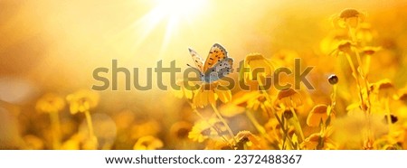 Image, Stock Photo Close up of colorful air mattress