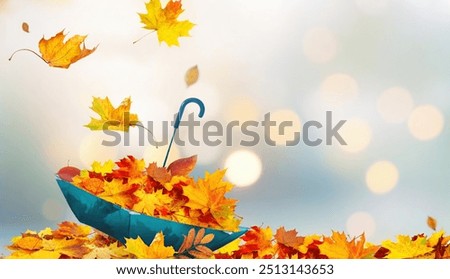 Similar – Image, Stock Photo Autumn foliage on light background