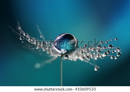 Similar – Image, Stock Photo raindrops and flower plant in wintertime