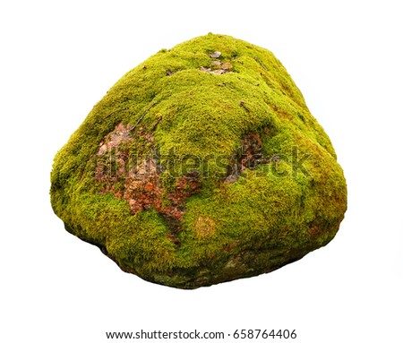 Similar – Image, Stock Photo Green, mossy boulders in coniferous forest