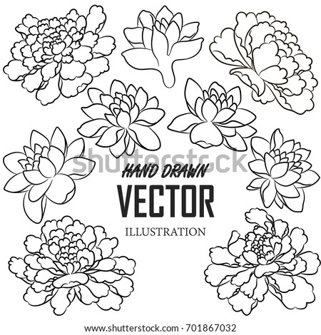 koi coloring tattoo style vector download free vector art stock koi coloring tattoo style vector download free vector art stock