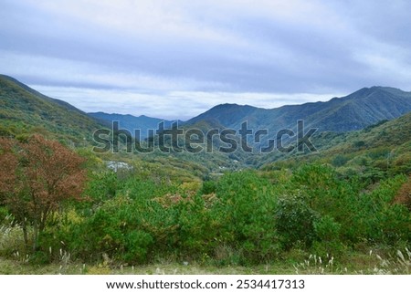 Similar – Image, Stock Photo southwards