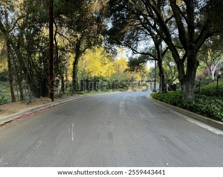 Similar – Image, Stock Photo Driving through Los Angeles in a convertible. LA, California.