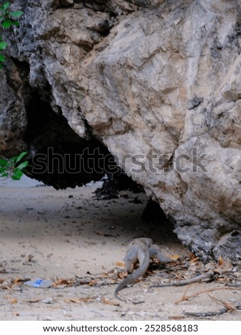 Similar – Image, Stock Photo Rough cave near sea during sunset