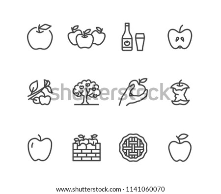 Apples flat line icons. Apple picking, autumn harvest festival, craft fruit cider illustrations. Thin signs for organic food store. Pixel perfect 48x48. Editable Strokes.