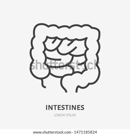 Gut flat line icon. Vector thin pictogram of human internal organ, intestines outline illustration for medical clinic.