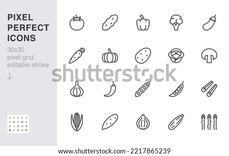 Similar – Image, Stock Photo Carrot, asparagus and zucchini sauteed in the pan, on the table