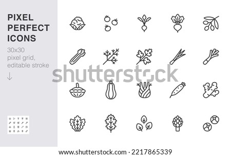 Vegetables line icon set. Kale, spinach, pumpkin, cherry tomato, cauliflower, beetroot, daikon minimal vector illustration. Simple outline sign for veggies. 30x30 Pixel Perfect, Editable Stroke